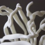 GFP green fluorescent protein purchase here!