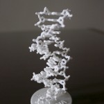 DNA & stand purchase here!