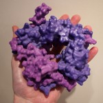 TGF-Beta purchase here!