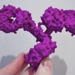 Antibody IgG purchase here!