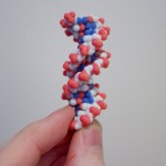 Small DNA 
purchase here!